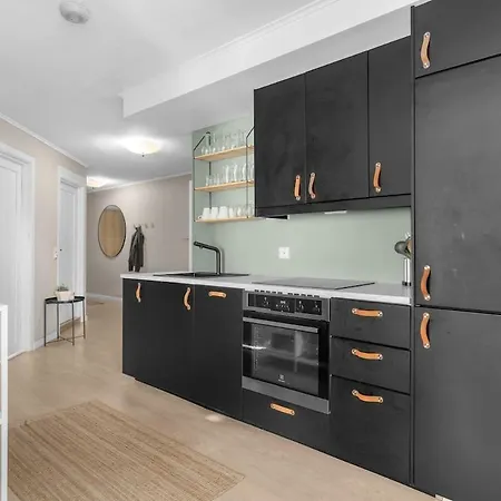 公寓 Nyrenovert Med Rolig Beliggenhet - Toppen Av Gagata Markens Ved Slottet 克里斯蒂安桑